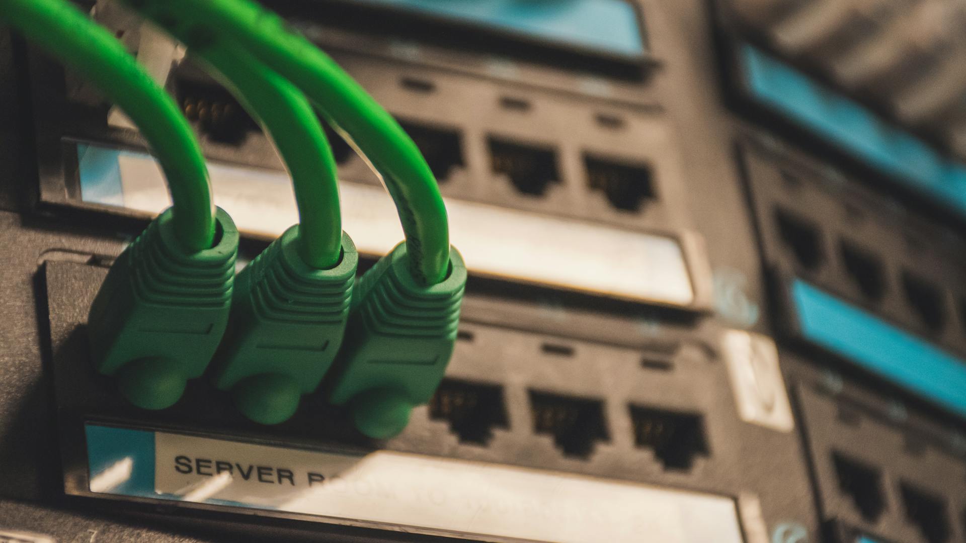 Close-up of green network cables plugged into server ports, showcasing technology setup.