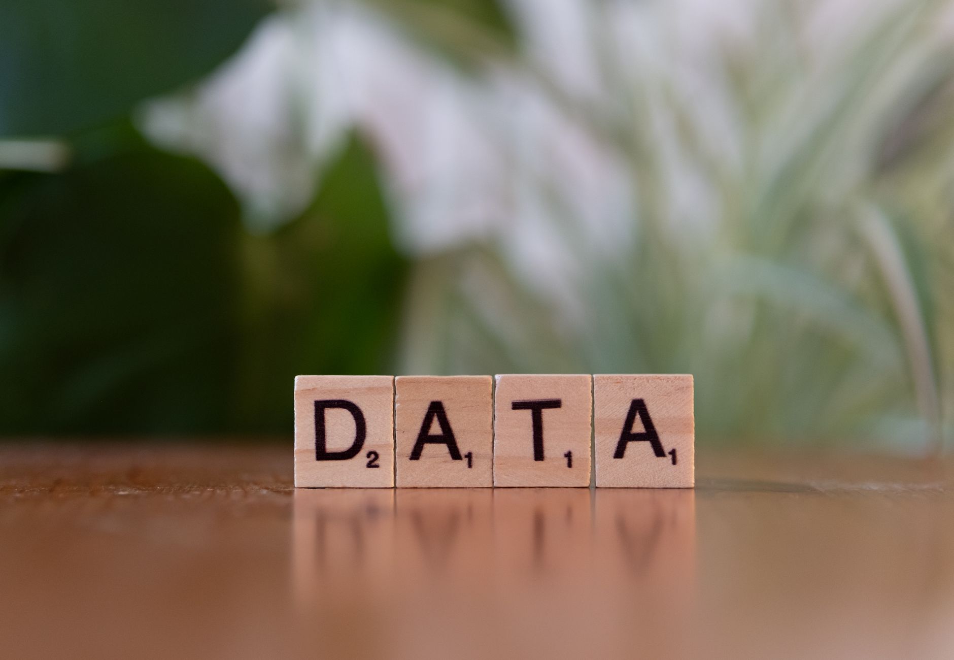 Scrabble tiles spelling 'DATA' on a wooden table with a blurred plant background.